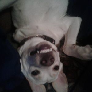 Meet your Posher, Julie